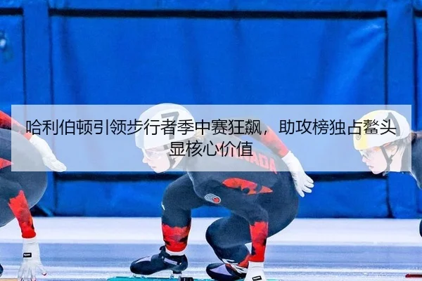 ha-li-bo-dun-yin-ling-bu-xing-zhe-ji-zhong-sai-kuang-biao-zhu-gong-bang-du-zhan-ao-tou-xian-he-xin-jia-zhi-3-519.jpg