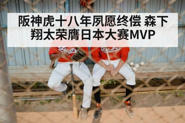 阪神虎十八年夙愿终偿 森下翔太荣膺日本大赛MVP